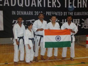 6TH KWF WORLD CUP - DENMARK 2013