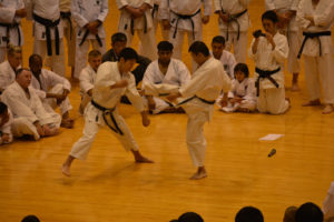 2015 KWF WORLD KARATE SEMINAR