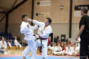 6TH KWF WORLD CUP - DENMARK 2013
