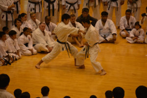 2015 KWF WORLD KARATE SEMINAR