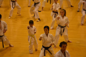 2015 KWF WORLD KARATE SEMINAR