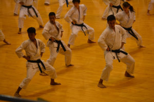 2015 KWF WORLD KARATE SEMINAR
