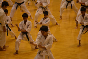 2015 KWF WORLD KARATE SEMINAR