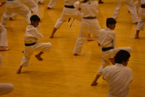 2015 KWF WORLD KARATE SEMINAR