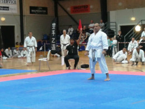 6TH KWF WORLD CUP - DENMARK 2013