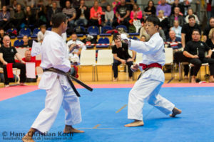 6TH KWF WORLD CUP - DENMARK 2013