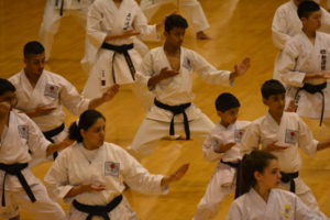 2015 KWF WORLD KARATE SEMINAR