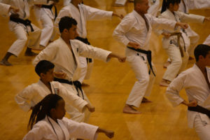2015 KWF WORLD KARATE SEMINAR