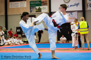 6TH KWF WORLD CUP - DENMARK 2013