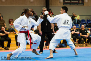 6TH KWF WORLD CUP - DENMARK 2013
