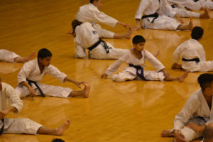 2015 KWF WORLD KARATE SEMINAR